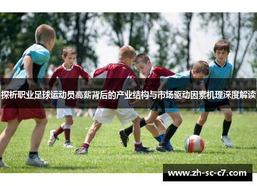 探析职业足球运动员高薪背后的产业结构与市场驱动因素机理深度解读
