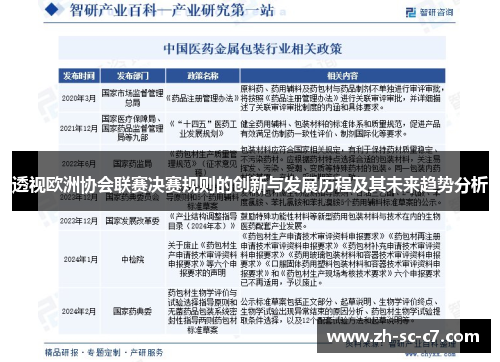 透视欧洲协会联赛决赛规则的创新与发展历程及其未来趋势分析