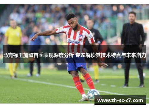 马竞标王加盟首季表现深度分析 专家解读其技术特点与未来潜力