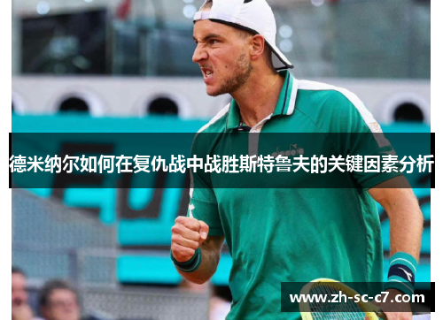 德米纳尔如何在复仇战中战胜斯特鲁夫的关键因素分析