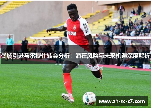 曼城引进马尔穆什转会分析：潜在风险与未来机遇深度解析