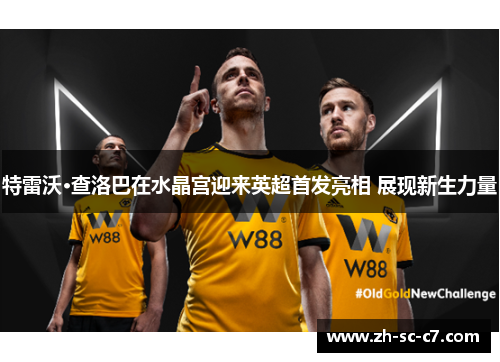 特雷沃·查洛巴在水晶宫迎来英超首发亮相 展现新生力量